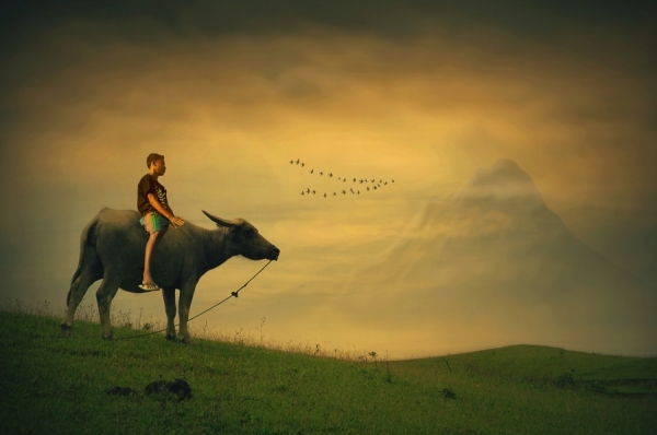 Photograph Teuku Jody Zulkarnaen Shepherd Boy on One Eyeland